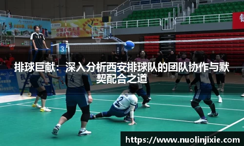 mk体育官网