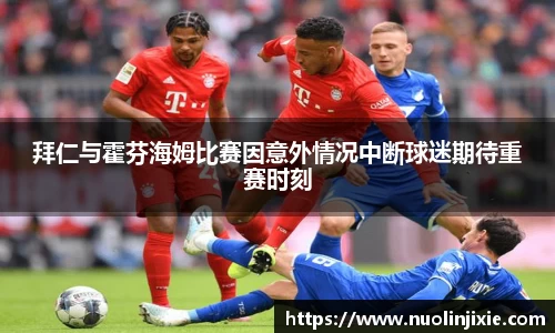 mk体育官网